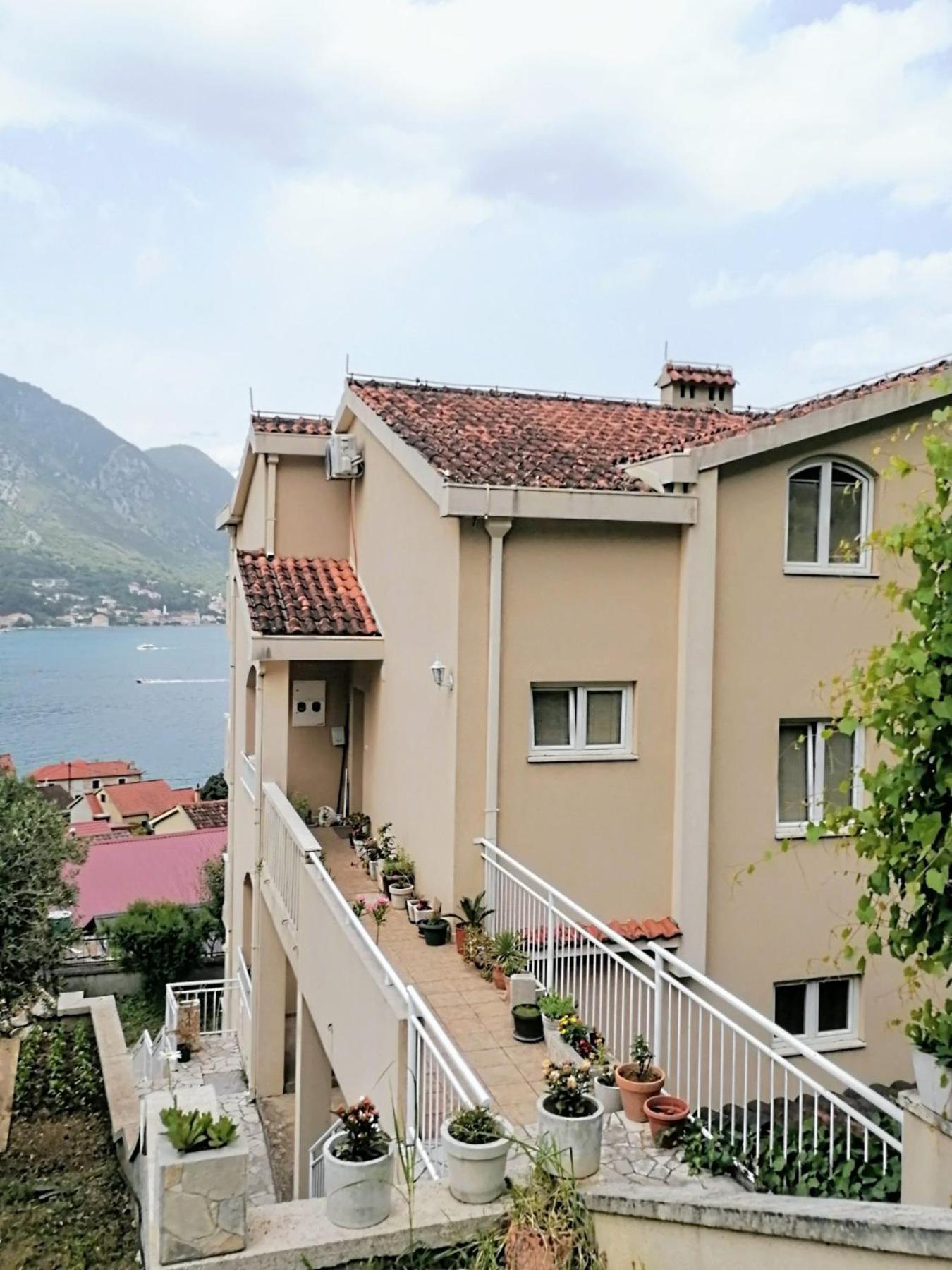 Apartment Bella Vista Kotor Exteriör bild